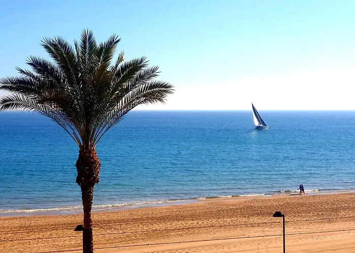 Jardín Playa San Juan Apartamento Alicante